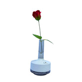 Humidificador con rosa